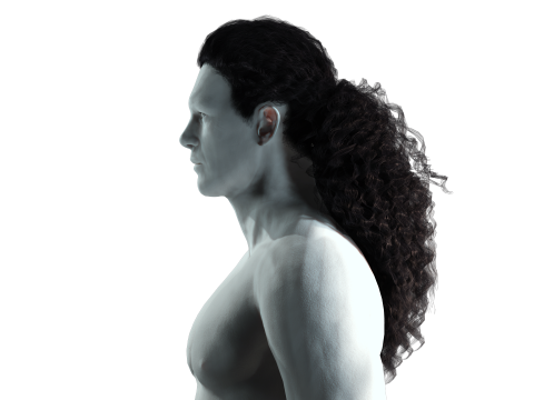 Realistic long hair 3Dモデル