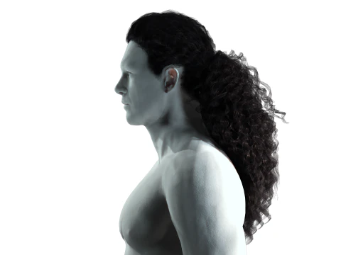リアルな長い髪 3Dモデル