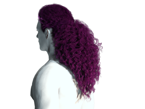 Realistic long hair 3Dモデル