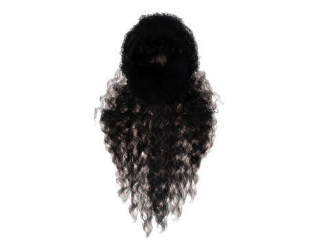 Realistic long hair 3Dモデル