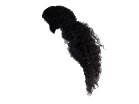 Realistic long hair 3Dモデル