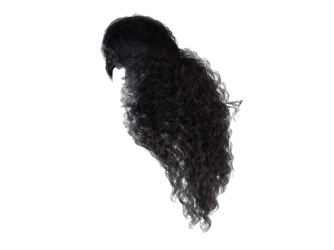 Realistic long hair 3Dモデル