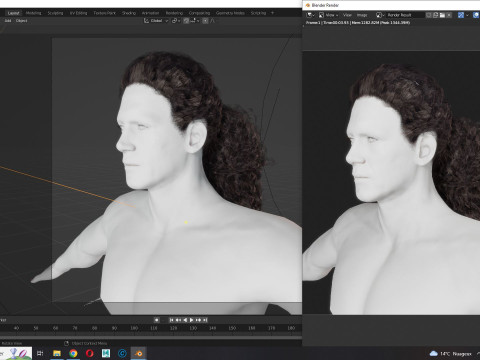 Realistic long hair 3Dモデル