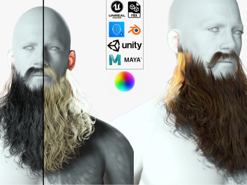 Realistic Full Beard 3D 模型