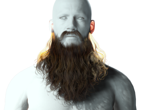 Realistic Full Beard 3Dモデル