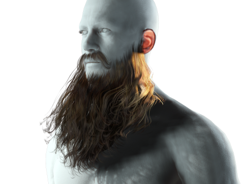 Realistic Full Beard 3Dモデル