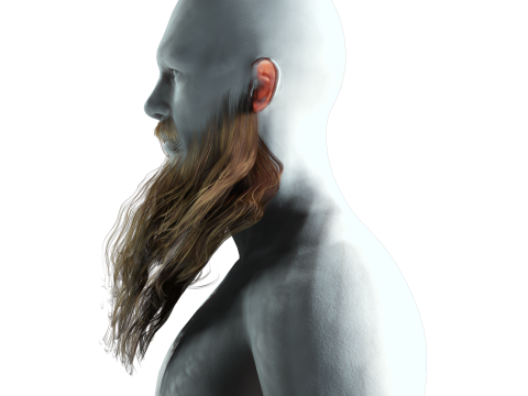 Realistic Full Beard 3Dモデル