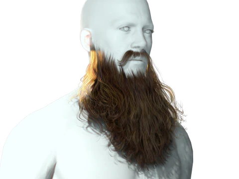 リアルなフルヒゲ 3Dモデル