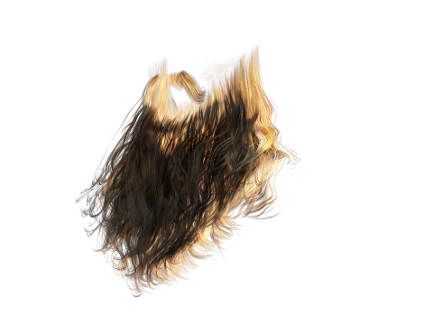 Realistic Full Beard 3Dモデル