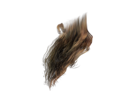 Realistic Full Beard 3Dモデル