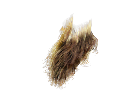 Realistic Full Beard 3Dモデル