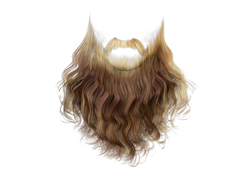 Realistic Full Beard 3Dモデル