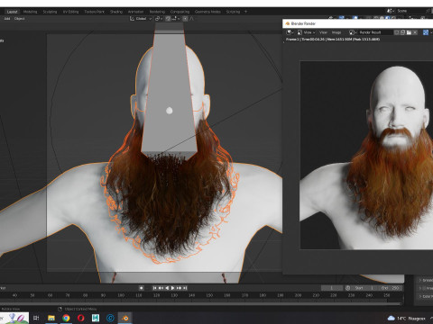 Realistic Full Beard 3Dモデル