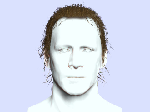 Male Hair - Man Bun Model 3D