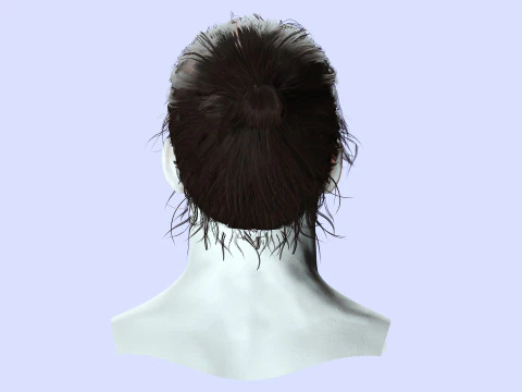 Male Hair - Man Bun 3D Model