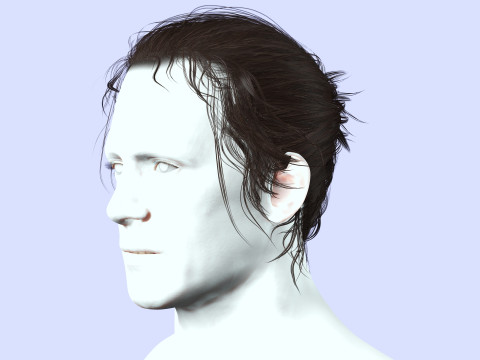 Male Hair - Man Bun Model 3D