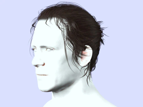 Male Hair - Man Bun 3D Model