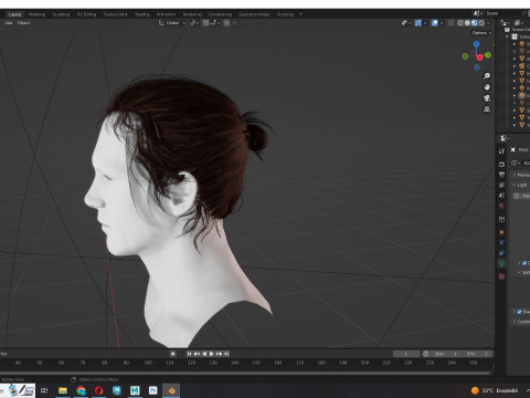 Male Hair - Man Bun Model 3D