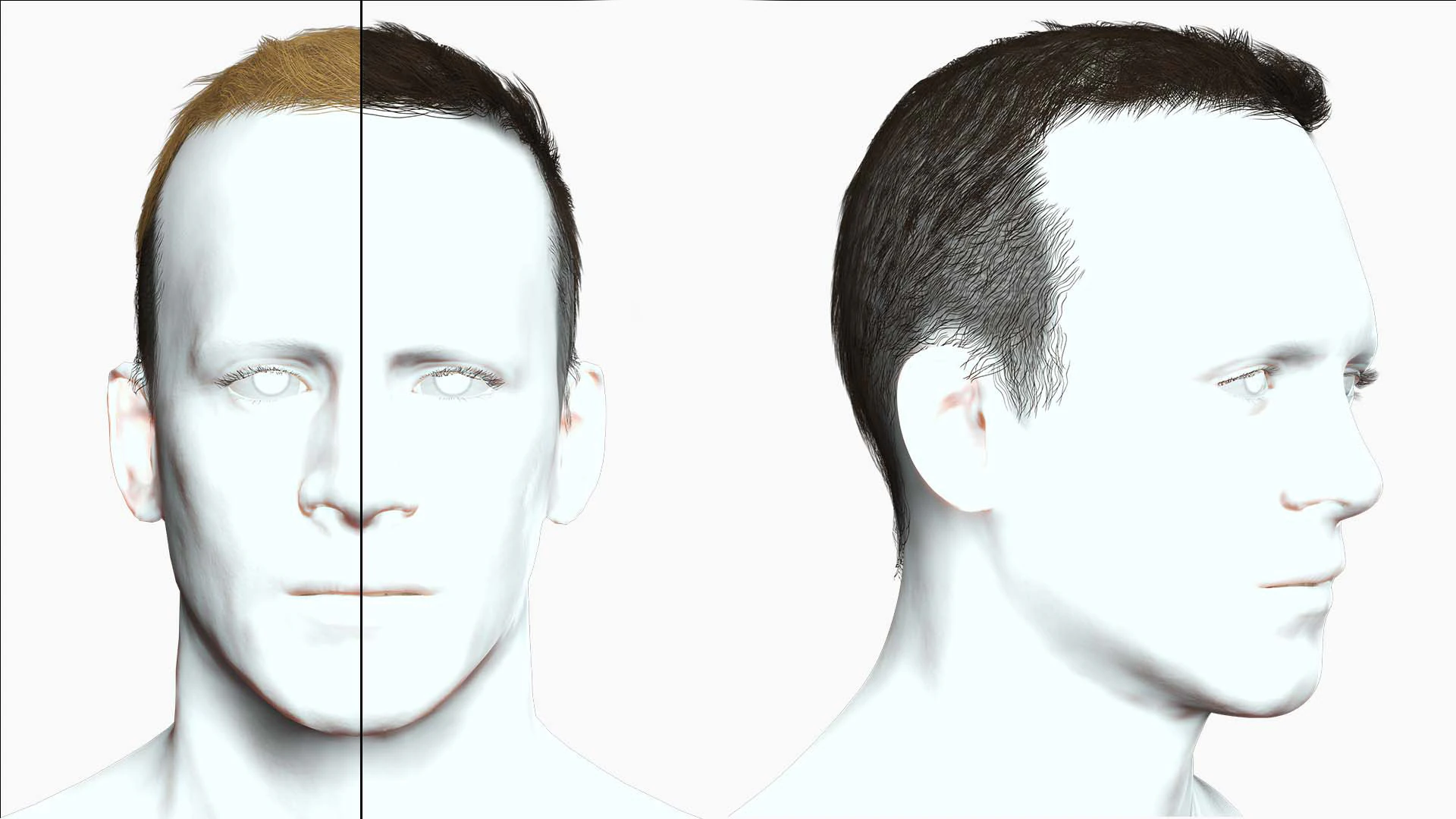 Male Hair 3D Model .c4d .max .obj .3ds .fbx .stl .blend