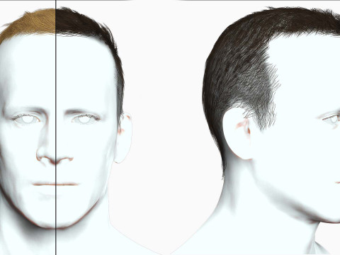 Male Hair 3D 模型