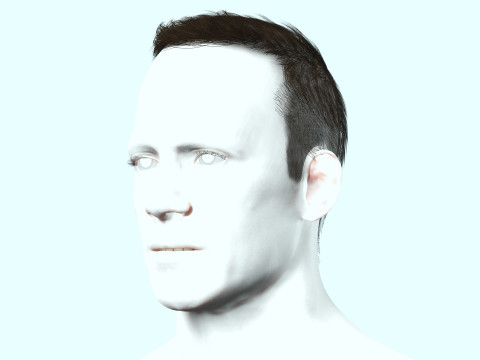Male Hair Modello 3D