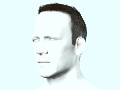 Male Hair 3D Model