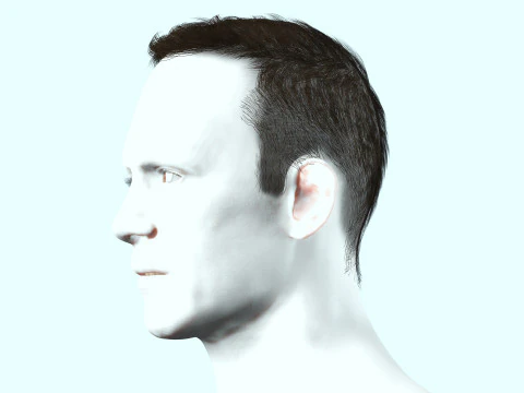 Male Hair 3D Model