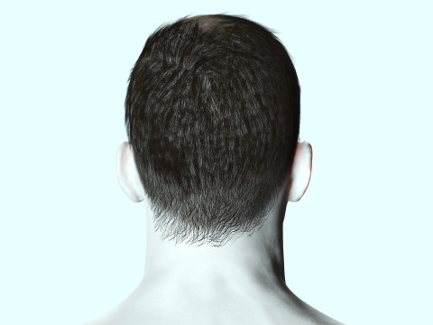 Male Hair Modello 3D