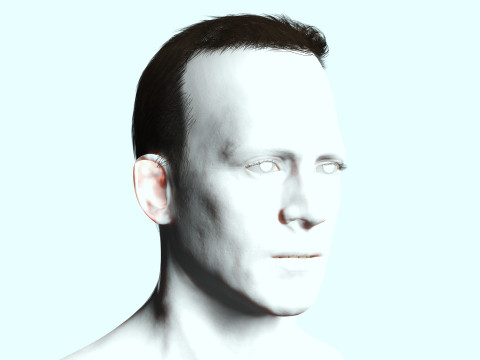 Male Hair Modello 3D