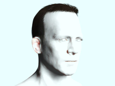 Male Hair 3D Model