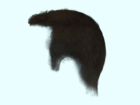 Male Hair 3D Model