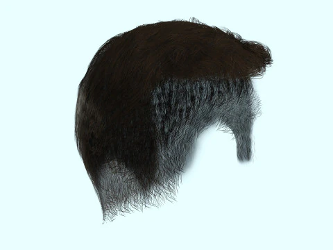 Male Hair 3D Model