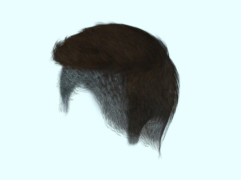 Male Hair 3D Model