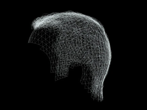 Male Hair 3D Model