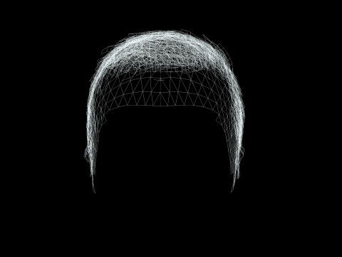 Male Hair Modello 3D