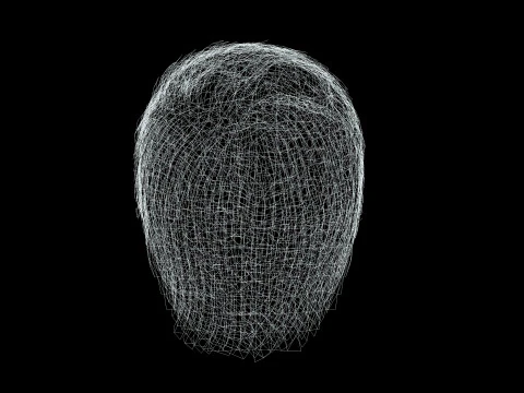 Male Hair 3D Model