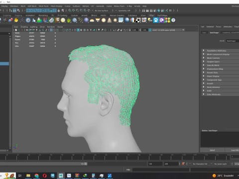 Male Hair 3D Model