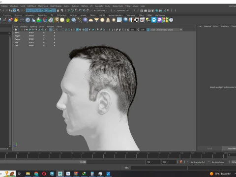 Male Hair 3D Model