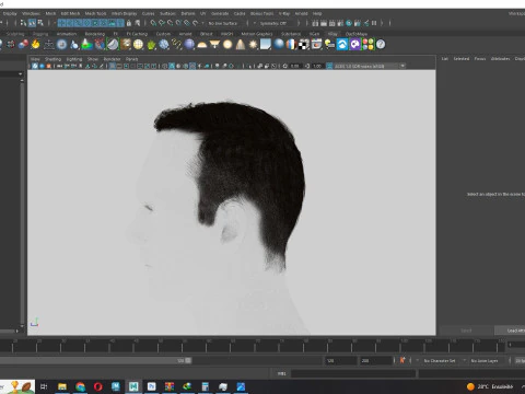 Male Hair 3D Model
