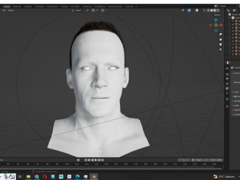 Male Hair Modello 3D