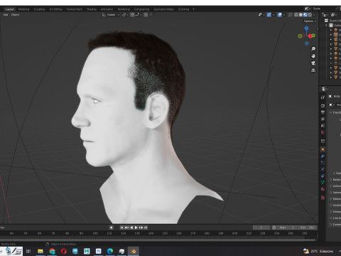 Male Hair Modello 3D
