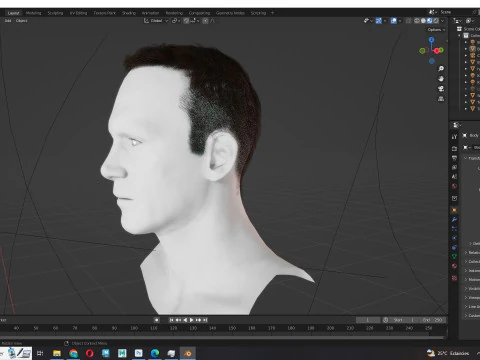 Male Hair 3D Model