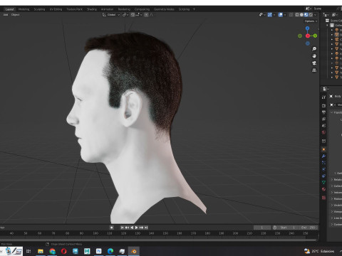 Male Hair Modello 3D