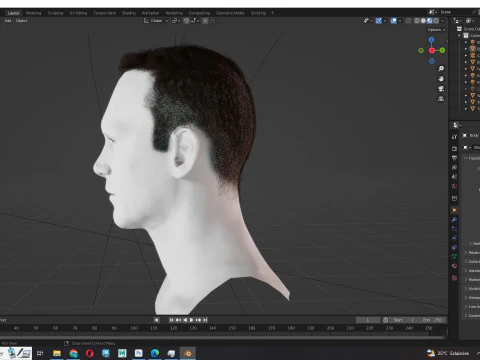Male Hair 3D Model