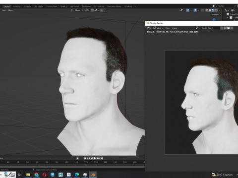 Male Hair Modello 3D