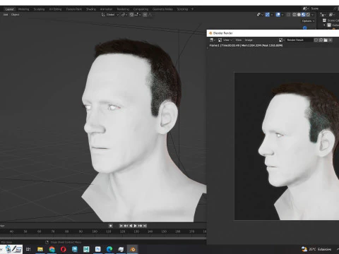 Male Hair 3D Model