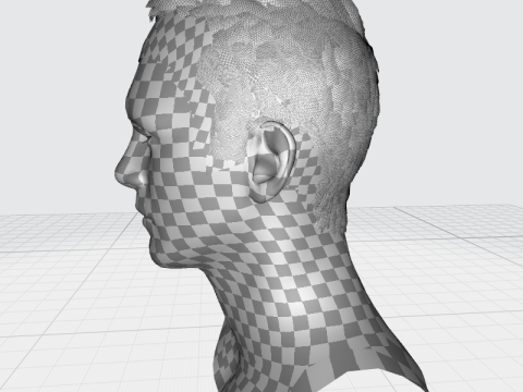 Male Hair Modello 3D