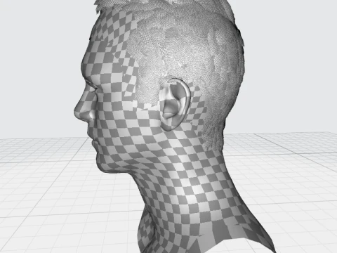 Male Hair 3D Model