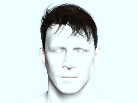 Realistic Male Hair 3D Model