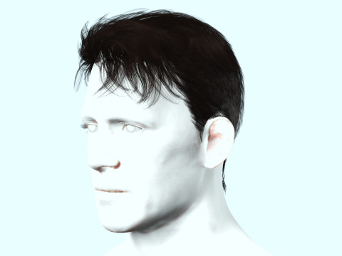 Realistic Male Hair 3D Model